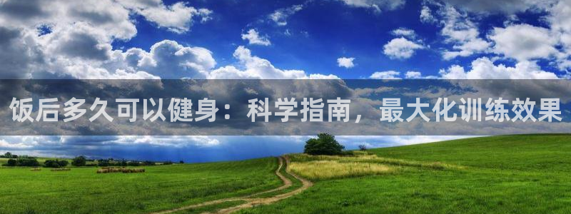龙 八国际