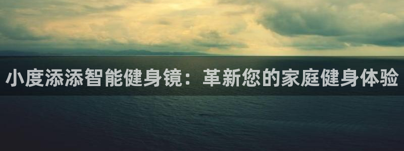 龙8国际安卓版版