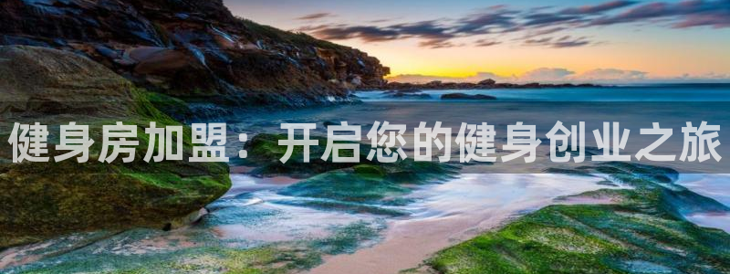 龙 八国际
