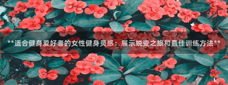 龙八国际唯一官网