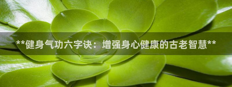 下载龙8国际