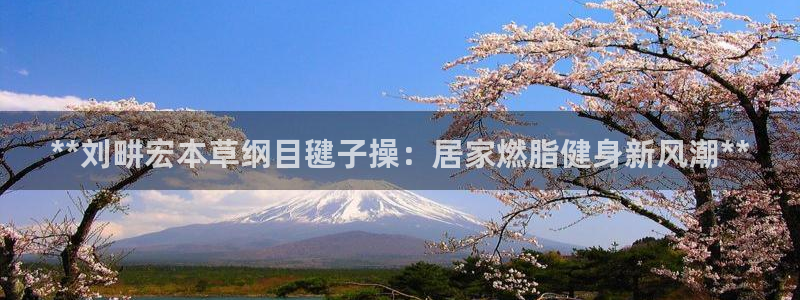 龙 八国际