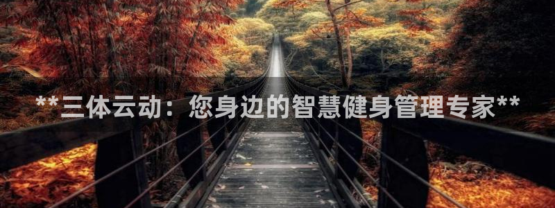 龙8老虎机手机版