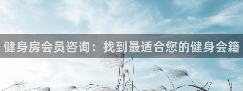 国际龙8下载