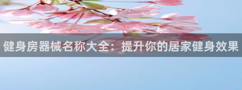龙8娱乐国际城