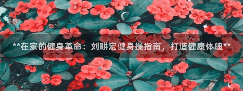 龙8国际官方网手机版下载安装