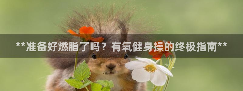 龙8官网国际