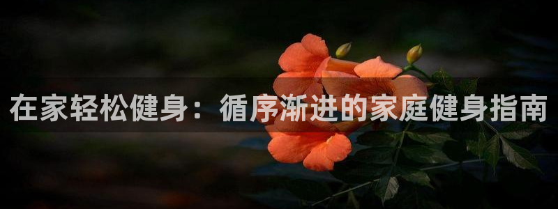 龙8国际的漏洞