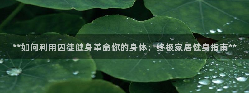 龙八棋牌