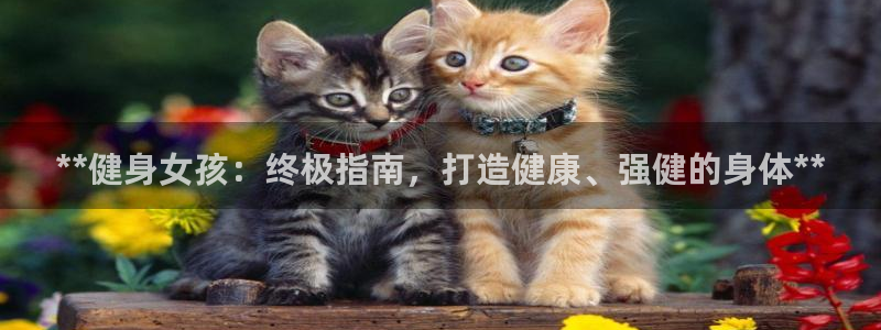龙八国际手机客户端