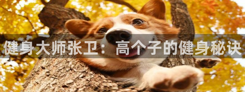 龙8国际2023官方版fxzls安卓-1.2.9 -安卓