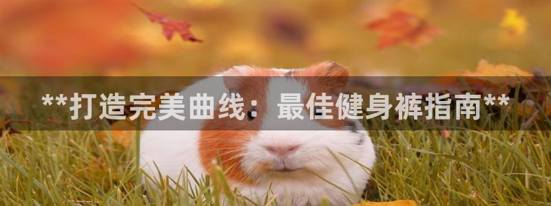 龙8国际头号玩家