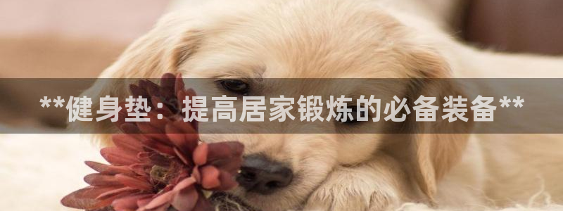 下载龙八国际官网