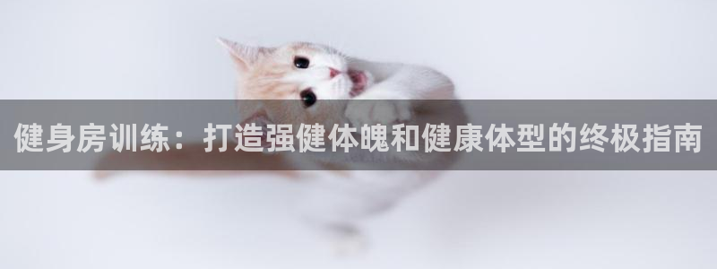 龙8国际pt官方网址