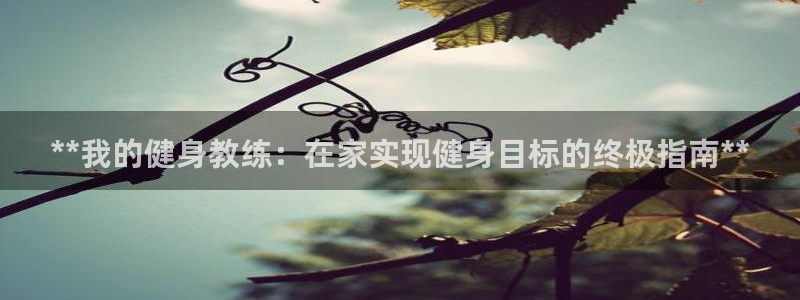 龙8国际手机版官网