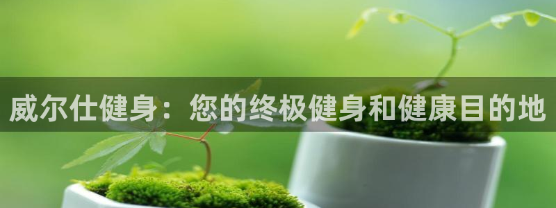 龙8游戏官方进入