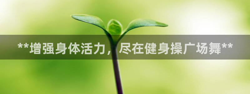 龙8国际long8官方版下载