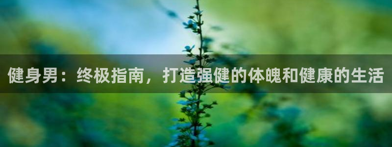 龙8国际long123