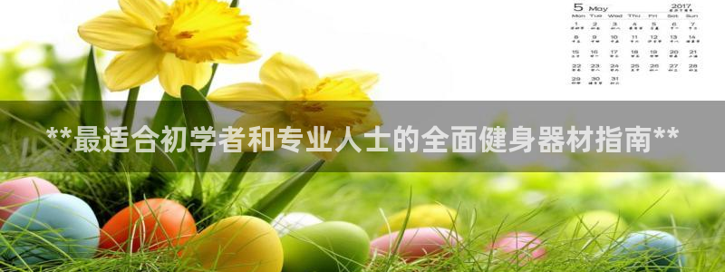 龙八国际娱乐平台网站