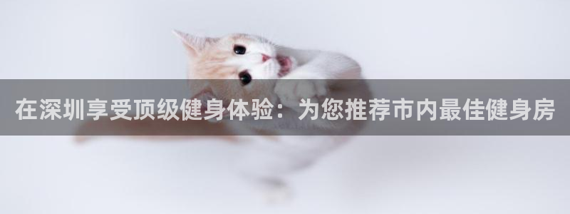 龙8国际是什么电影