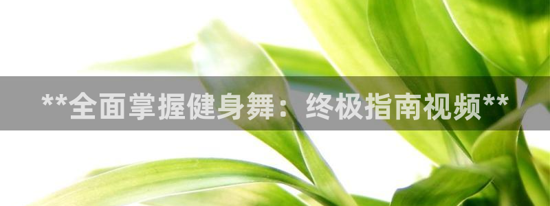 龙8国际3.0