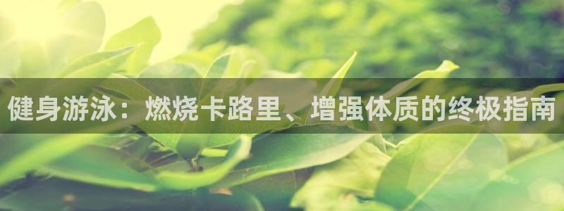 龙8国际平台输了多少
