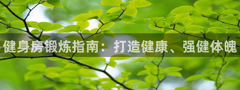 龙8国际官方下载