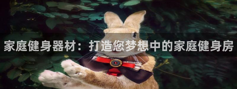 国际龙8下载