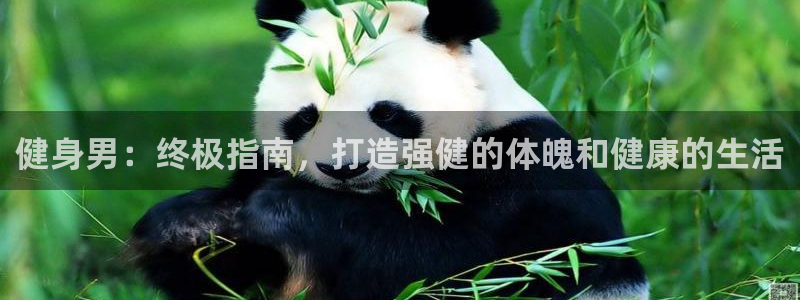 龙8国际手机登录官网