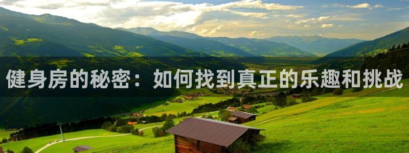 龙8国际平台输了多少