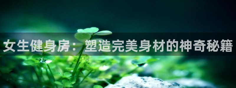 龙8手机游戏官网