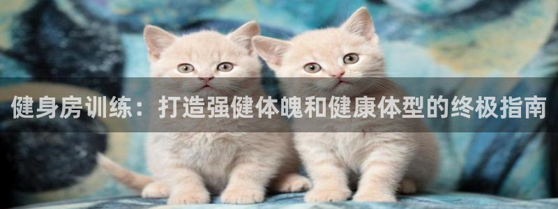 龙8游戏网站