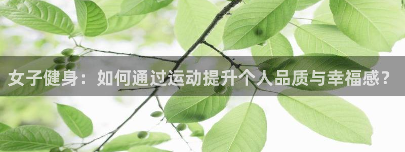 龙8官网国际