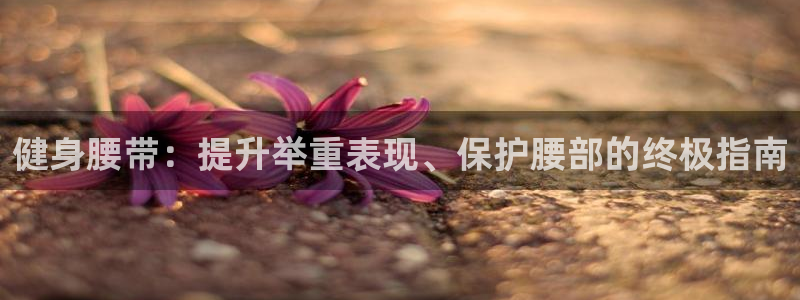 龙八国际pt