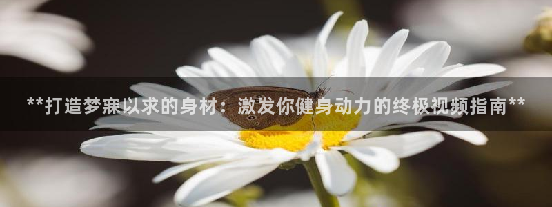 龙8国际怎么进不去了