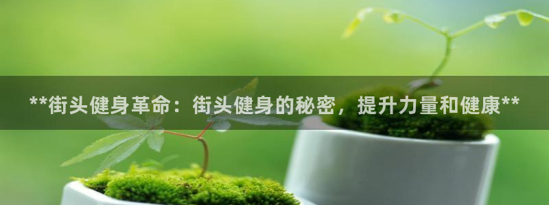 龙八国际app客户端下载不了