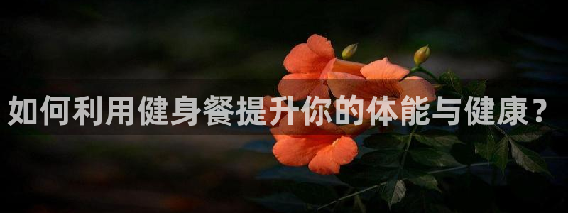 龙8国际app下载