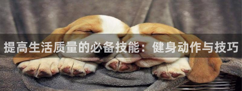 龙8国际平台提款被黑