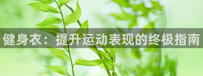 龙八国际网页