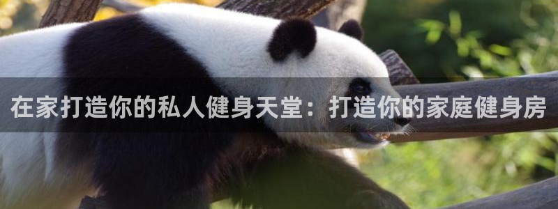 龙8国际手机版官网