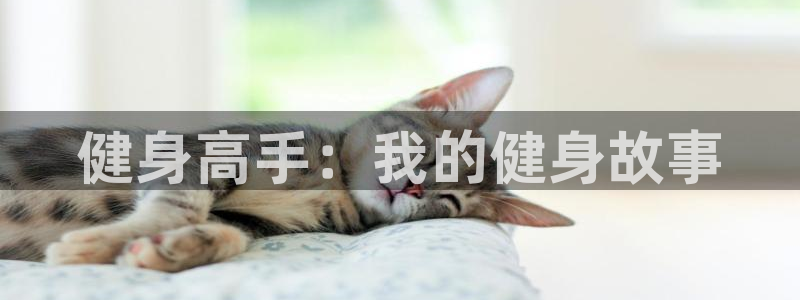 龙8国际官方网手机版下载安装
