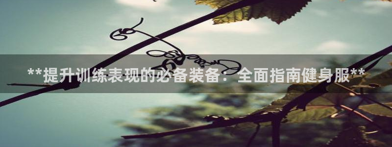 龙8国际pt官网