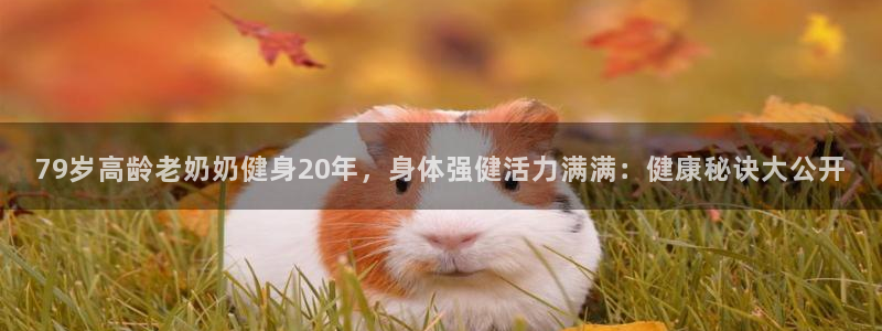 龙八国际服官网入口