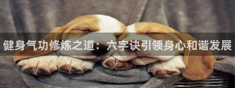 龙8国际现金
