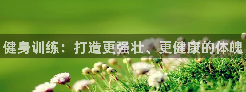 龙八国际网页