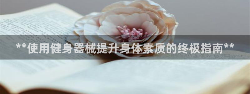 龙8国际3.0