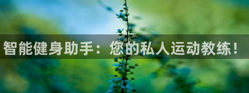 龙8游戏官方网站z
