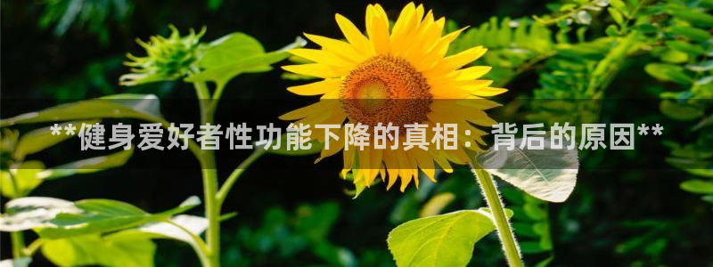 龙8国际app下载客户端