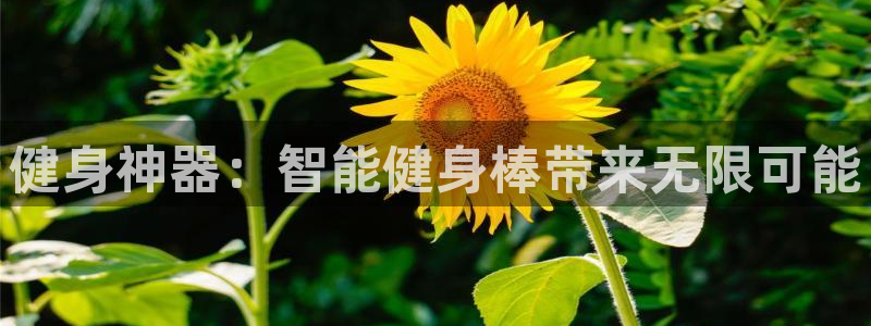 龙8国际游戏唯一官方进入
