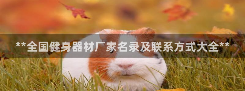 龙8官网正版